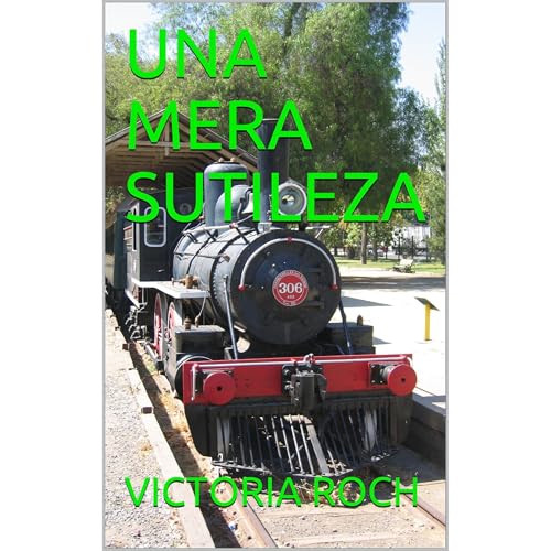 Una Mera Sutileza Audiolibro Por VICTORIA ROCH arte de portada