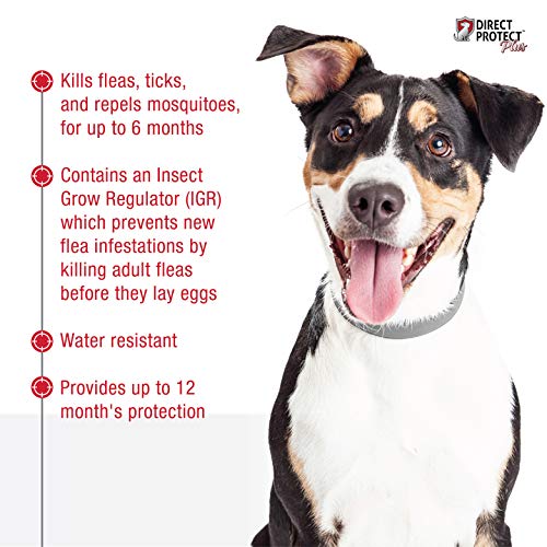 Direct Protect Plus Flea & Tick Collars for Dogs & Puppies, One Size Fits All, 2-Pack, 12 Months Protection - Image 3