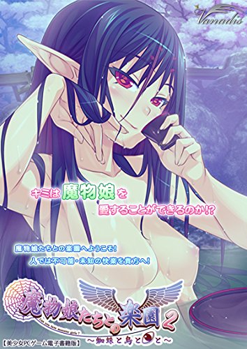 魔物娘たちとの楽園 蜘蛛と鳥と と 2 魔物娘たちとの楽園 蜘蛛と鳥と エロージョン 影花 ぶぶづけ 小説 サブカルチャー Kindleストア Amazon