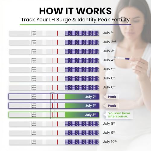 Image of One Step Ovulation Test Strips (40 Pack) - Easy to Use Ovulation Predicter Test - At Home Ovulation Test Strips for Fertility Tracking