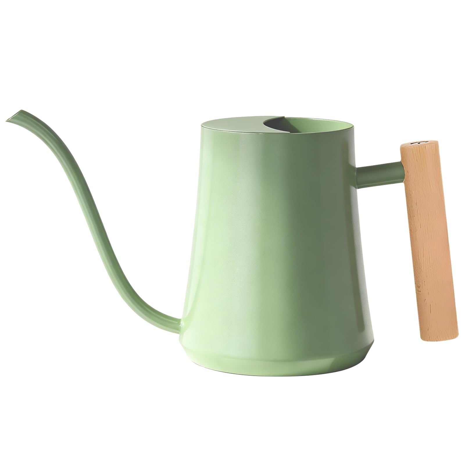 LanQii 1L/35oz Watering Can Indoor Plants, Stainless Steel Indoor Water Can with Long Spout and Wooden Handle Watering Jug for Houseplant Bonsai Bonsai Garden Flower - Green