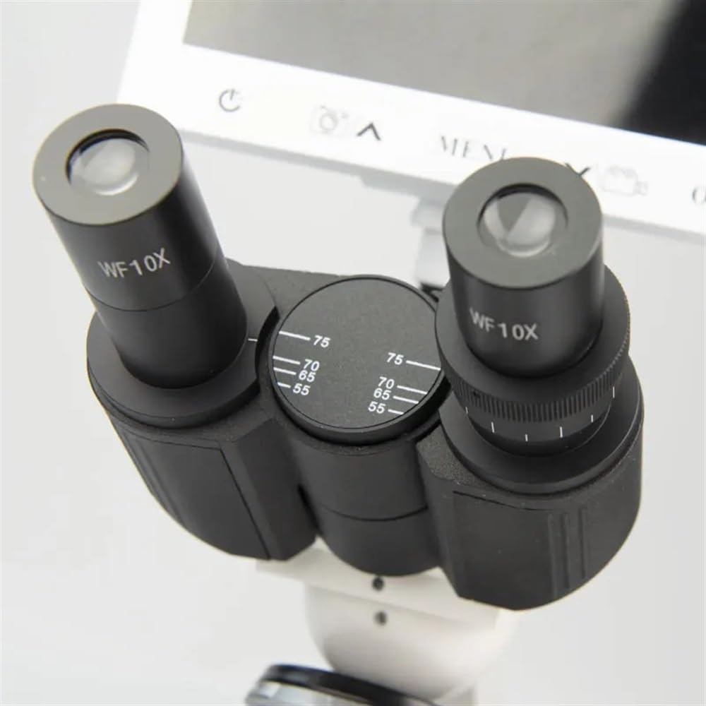 Microscopio Microscopios trinoculares biológicos 40X-1600X y microscopio Digital Adecuado for Laboratorio de Ciencias, Escuela, Estudiantes, niños