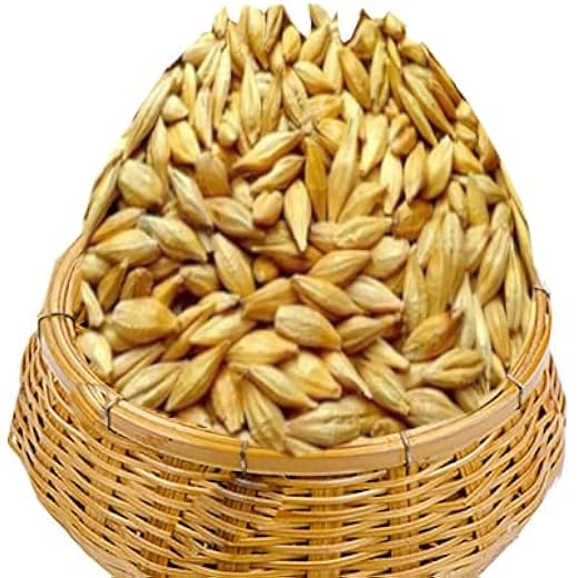 KADAM Barley Seeds 400g