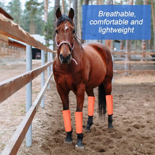 Image of Set of 8 Mesh Fly Boots for Horse Breathable Mesh Horse Boots Protective Loose Wraps Adjustable for Preventing Legs Reduces Flies and Mosquitoes Bites(Blue, Orange,Yearling)