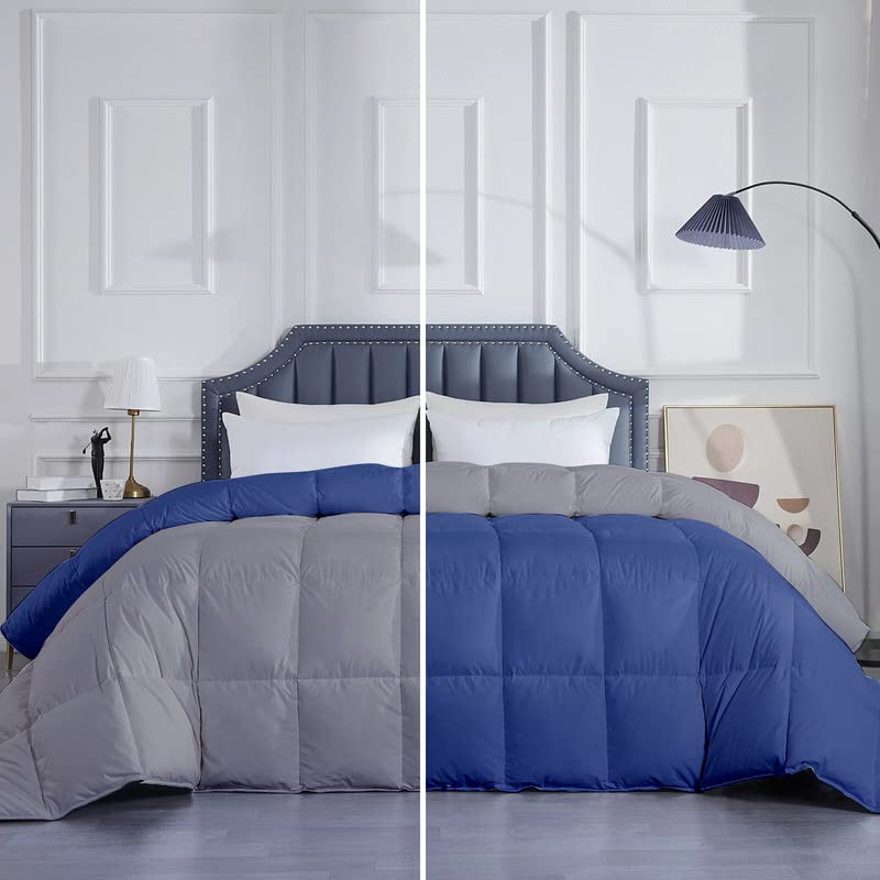 MammaYo Razzai Down Alternative Soft Quilted 300 GSM All Weather Comforter (90" x 90" Inches/228cm x 228cm) - Queen Size Comforters|Silver/Medium Blue| TC - 400