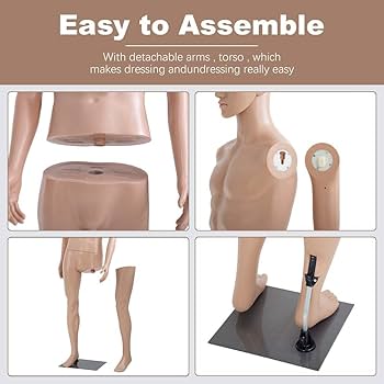 Amazon.co.jp: 男性用マネキン トルソー 衣類フォーム 全身