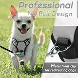 Eagloo Hundegeschirr Kleine Hunde, Anti Zug Hundegeschirr mit Reflexstreifen und Kontrolle, Verstellbar, Einstellbar und Langlebige Brustgeschirr Hund, Geeignet zum Gehen und Joggen, Grau, XS
