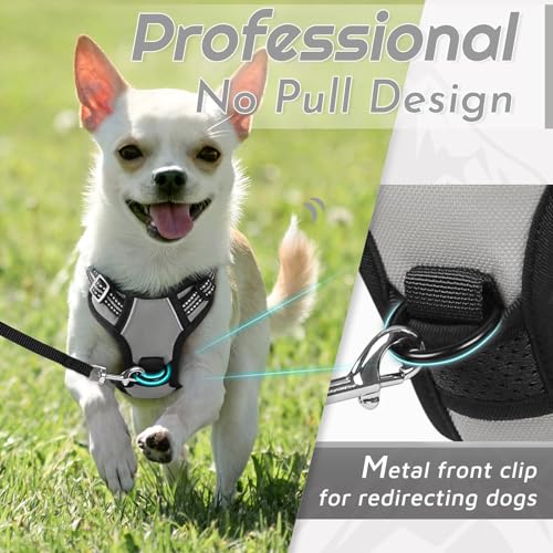 Eagloo Hundegeschirr Kleine Hunde, Anti Zug Hundegeschirr mit Reflexstreifen und Kontrolle, Verstellbar, Einstellbar und Langlebige Brustgeschirr Hund, Geeignet zum Gehen und Joggen, Grau, XS