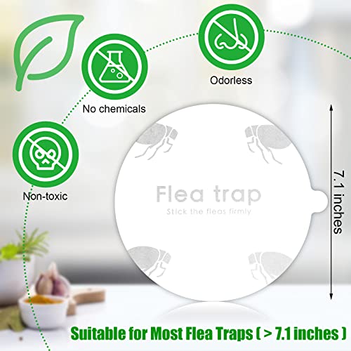 Control de plagas con discos de repuesto para trampas de pulgas e insectos 3