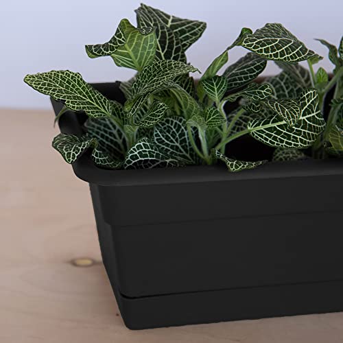 Bloem Dcbt18-00 Dura Cotta Plant Window Box, 18-Inch, Black #TOP5