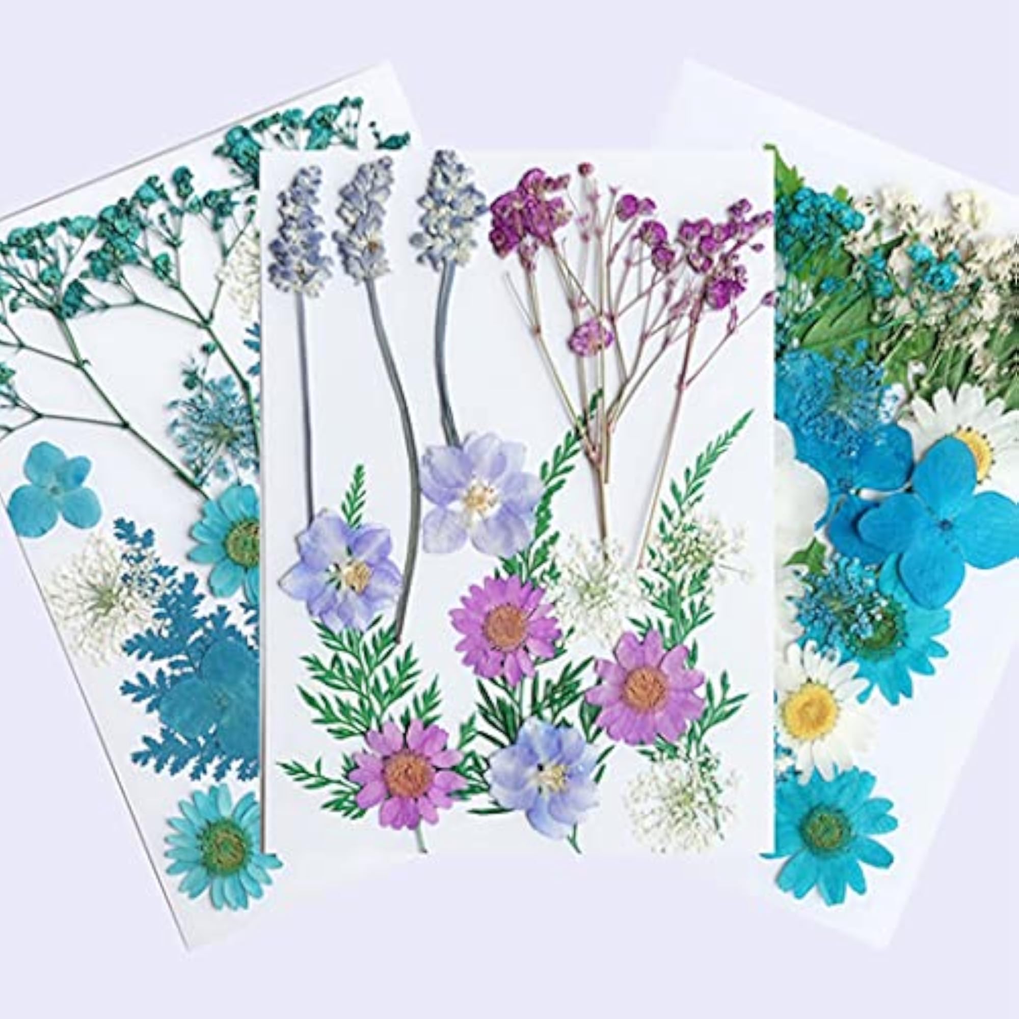 Colorful Assorted Handmade Nature Dry Flower Pressed Flower Bookmark