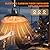 Electric Outdoor Patio Heater, 1500W Ceiling Mounted Heater, Hanging Carbon Infrared Heater, 600W 900W 1500W IP34 Radiant Heater for Garage, Gazebos, Shop, Deck