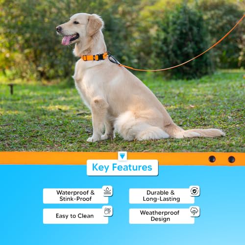Image of Adil's Biothane Waterproof Dog Collar, Dog Leash & Collar Leash Combo | Heavy Duty TPU Coated Webbing | Adjustable Quick Release Buckle | Odour Resistant (Orange, M-18, Leash Only)