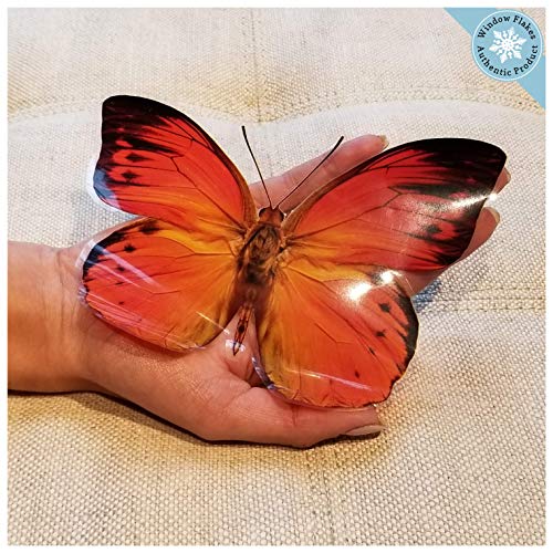 8 Large Butterfly Window Clings For Glass Windows And Doors | Window Decals For Birds Strikes | Anti Collision Window Stickers Decor | Decorative Butterflies Window Decals For Sliding Glass Doors #TOP4