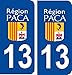 JINTORA - 2 Stickers Autocollant Style Plaque Immatriculation département 13-46 x 102 mm
