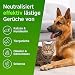 PRINOX 2 x 1030ml Enzymreiniger Konzentrat inkl. Mischflasche I STARKER GERUCHSENTFERNER I Ergibt bis zu 80L Geruchsneutralisierer I Beseitigt Hundeurin, Katzenurin Geruch tiefgreifend uvm.