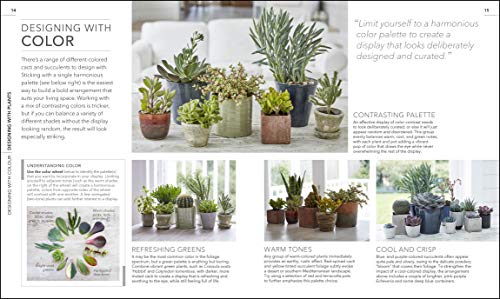 Practical Cactus And Succulent Book: The Definitive Guide To Choosing, Displaying, And Caring For More Than 200 Cacti #TOP2