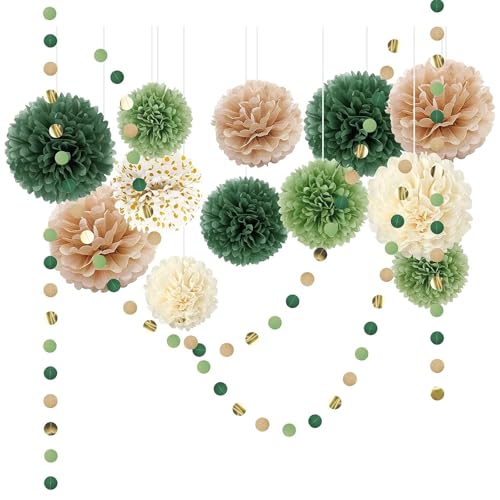 Pclapora 15 Pièces Pompon Papier de Soie, Décoration Boule pour Fête, Anniversaire, Mariage Champetre