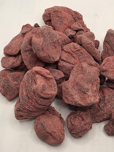 �Anna Reine ��C�G�����Y �h���S���Y�u���b�h ���� 30g�� ������ �ґz�p, ���b�h, �V�R���t AAA dragons blood From Yemen mountain high quality