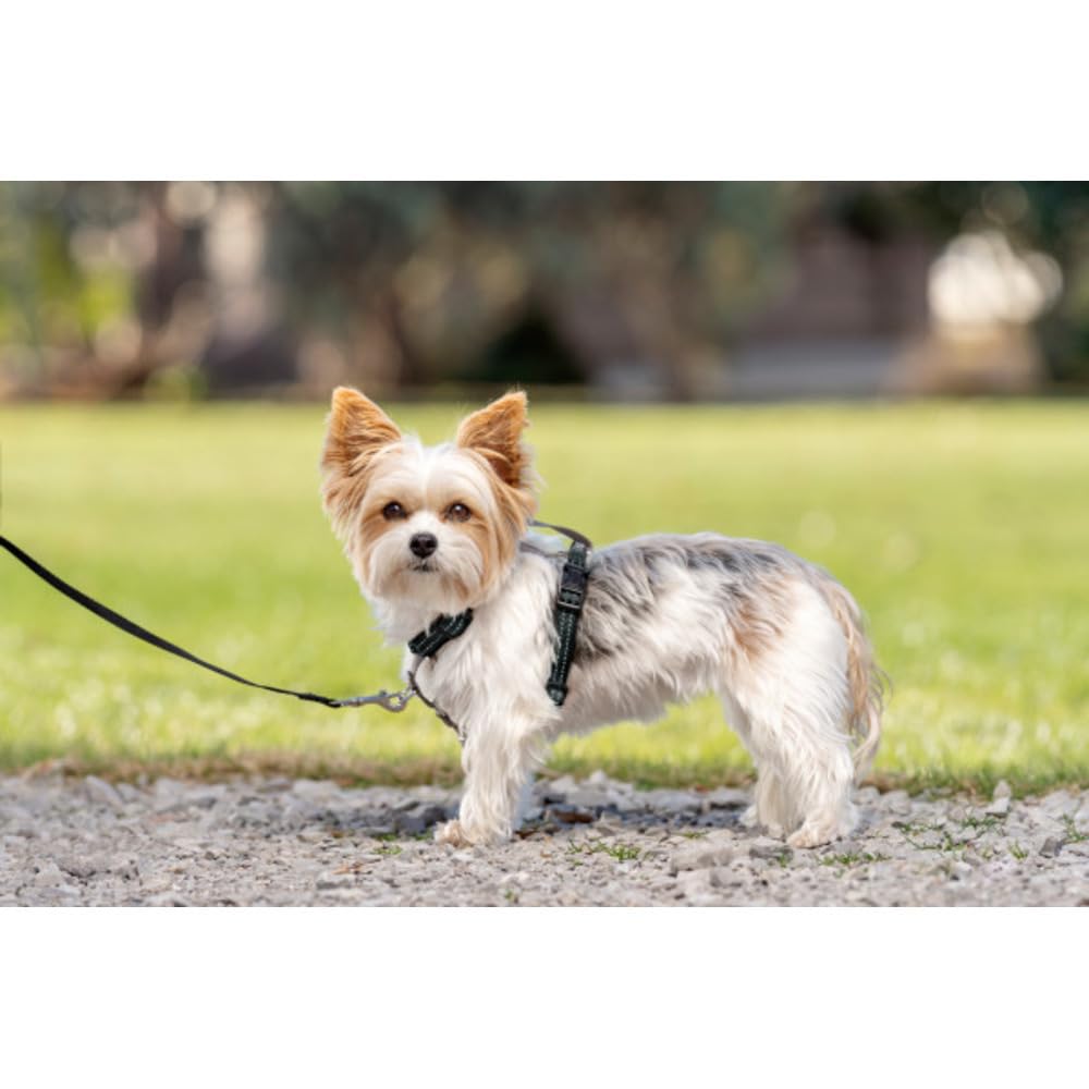 PetSafe 3-in-1 - Pettorina Pettorale per Cani con Attacco Frontale per Guinzaglio, pensata per Passeggiate Controllate - Nero - XS