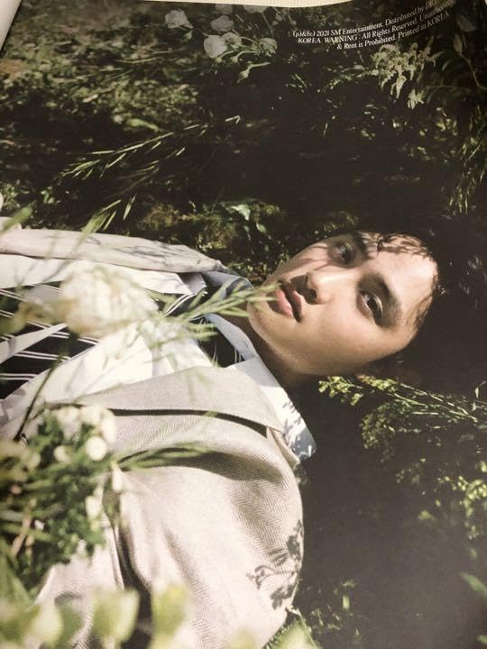 EXO ギョンス ファブリックポスター EXO D.O ギョンス アニメ アンダー