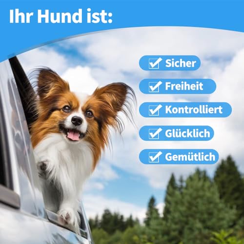Mi Metty Anschnallgurt Hund Auto, Bissfeste Hundeleine aus Stahldraht mit Auto, Hunde anschnallgurt Auto für alle Hunde