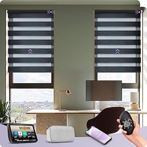 Graywind Elektrische Doppelrollo Charcoal mit Smart Home Steuerung