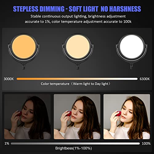 image for Evershop Key Light - 10