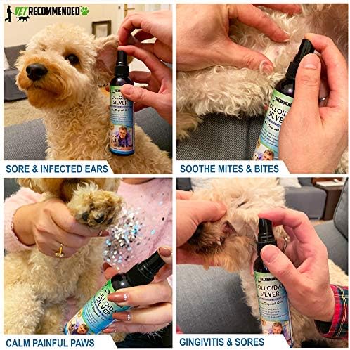 paws colloidal silver