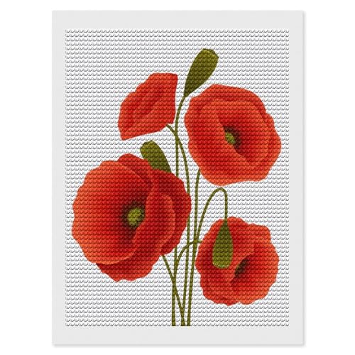 Kit peinture diamant coquelicot : détendez-vous en décorant votre intérieur avec art