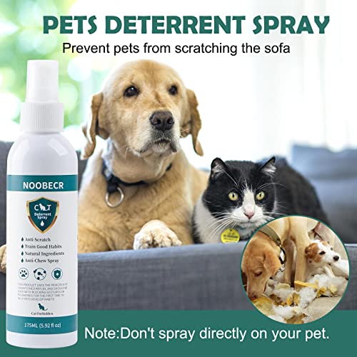 Qmjudb YX-US-CATDE-1 Cat Deterrent Spray Indoor, 175Ml - Cat Repellent Indoor For Cat And Kitten, Anti Cat Scratching Deterrent Spray thumb #6
