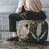 A Muse In The Machine