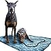 Soggy Doggy Blue Doormat with Brown Bone, 36 by 60"