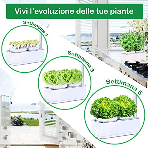 amzWOW Smart Garden - Cultivez vos herbes aromatiques - Potager d'Intérieur 100% Bio - cultiver vos propres plantes à la maison - Lumière LED incluse amzWOW Smart Garden - Cultivez vos herbes aromatiques - Potager d'Intérieur 100% Bio - cultiver vos propres plantes à la maison - Lumière LED incluse