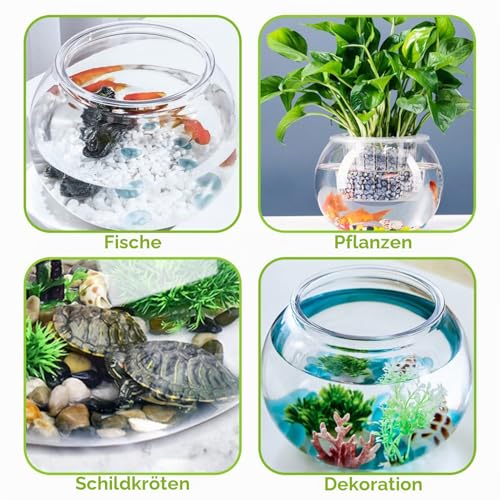 Nobleza - Goldfischglas Bruchsicherer Kunststoff Fischschale, ideal für Blumen oder als Fischglas, 20 cm