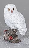 Formano Eule Owl Eulen-Figur Deko-Kautz Herbsteule Herbstdeko/Weihnachten Schneeeule Wintereule Weiß Stehend 18cm Groß