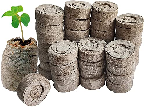 ORGANIC- 50 Pcs Peat Pellets- 40mm Seeds Starting Plugs Peat Soil Pellet Fiber Soil Indoor Seed Starter Kit for Transplant to Planter Pot Helps to Avoid Root Shock Grow Herb Flower Vegetables