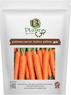 paloma carrot mohre yellow seeds
