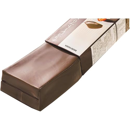 守山乳業 チョコレートプリンプラス