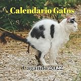  Calendario Gatos Cagando 2022: Regalos Para Amantes De Los Gatos  Regalo de broma  Divertidos Para Mujer, Hombre, Niños, Niñas, Amigas, Amigos, Navidad, Cumpleaños