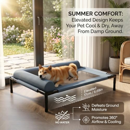 Lit surélevé portable pour chien idéal en camping et extérieur - 6