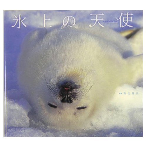 氷上の天使 : タテゴトアザラシの表紙