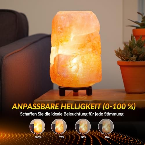 BrightWish Backofenlampe E14-42W (40, watts) - 300 Grad hitzebeständig Dimmbar Warmweiß 4 Stück Glühbirne für Backofen, salzlampe, Mikrowelle, Dunstabzugshaube