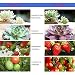 Esbaybulbs Plant Growth Bombillas, E27 40W Led Grow Light Lampara Crecimiento de...