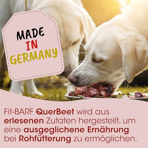 Fit-BARF QuerBeet für Hunde 2,5kg - Ergänzungsfutter Gemüse-Obst-Pulver für gesunde Rohfütterung