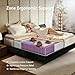 WARMDREAM Queen Mattress, 12 Inch Hybrid Queen Mattress in a Box, Memory Foam & Individual Pocket Springs, Medium Firm, Motion Isolation, Ideal for All Sleep Positions, CertiPUR-US Certified