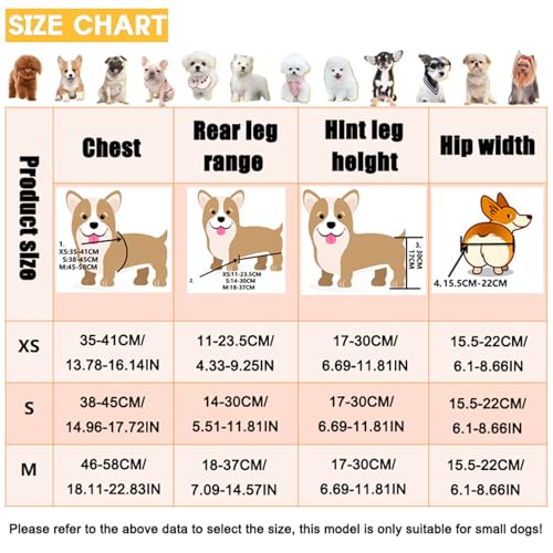Chariot de rééducation pour petit chien S | Structure légère avec laisse - 6