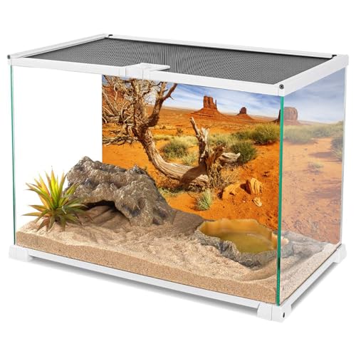 Image of AWERT 24x12 in Terrarium Backdrop Orange Desert Reptile Habitat Background