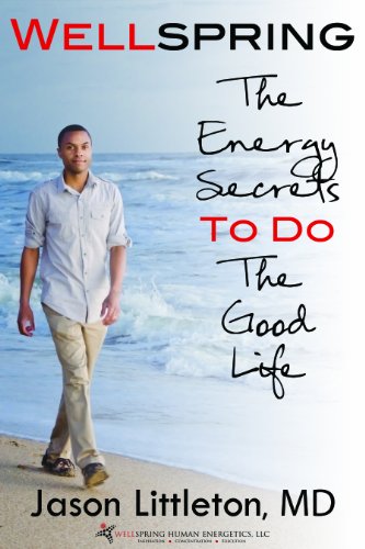 WellSpring: The Energy Secrets TO DO The Good Life