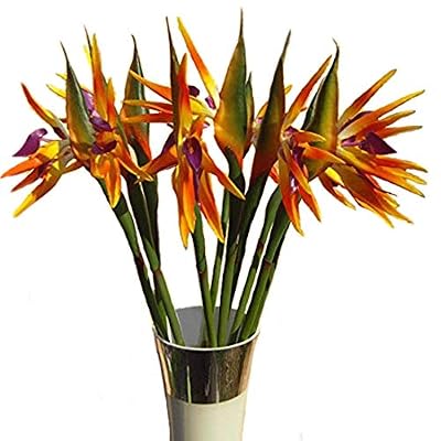 Calcifer 31.50 "real Touch de ave del paraíso Artificial ramo de flores para casa jardín decoración/decoración para boda fiesta, Rojo, Package Quantity: 1 Stem | Ya disponible en tu tienda friki favorita! En mundofriki.es! Calcifer 31.50 "real Touch de ave del paraíso Artificial ramo de flores para casa jardín decoración/decoración para boda fiesta, Rojo, Package Quantity: 1 Stem | Ya disponible en tu tienda friki favorita! En mundofriki.es!